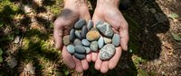 Hands holding collection of smooth river rocks and pebbles outdoors on natural moss ground for meditation, zen garden design, and crafting projects.