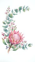 Watercolor floral arrangement featuring pink protea, eucalyptus branches, and delicate blossoms on isolated white background, ready for design projects.