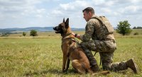 Military soldier with German Shepherd dog in tactical gear kneeling on grass field during training exercise in countryside landscape.