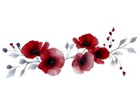 Red poppies and silver leaves watercolor composition on white background, floral arrangement with berries for wedding invitations and greeting cards.