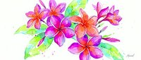 Vibrant magenta and orange flowers with green leaves rendered in watercolor style, featuring splashes and artistic brushstrokes for botanical and nature designs.