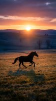 Wild horse galloping across golden meadow at sunset with dramatic sky and rolling hills in background creating peaceful countryside scene.