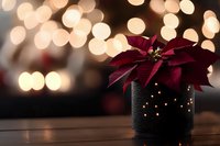 Red poinsettia flower in black decorative container with glowing lights against blurred golden bokeh background creates festive holiday atmosphere.