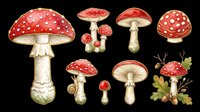 Fly agaric mushrooms isolated on transparent background, ready for t-shirt design, clipart, stickers, sublimation and print-on-demand projects.