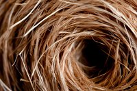 Close-up macro shot of natural brown fibers or hair strands forming spiral pattern against dark background, creating abstract textural composition with depth and movement.