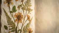 Pressed dried flowers and ferns botanical arrangement on textured paper background for natural home decor and craft projects.