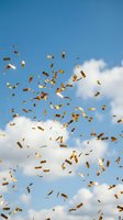 Golden confetti pieces falling through bright blue sky with white clouds creating festive celebration atmosphere for party events and special occasions.