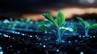 Young green plant seedling growing in dark soil with glowing blue light effects and water drops, representing growth, innovation and environmental technology.