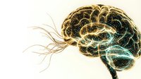 Golden glowing human brain with flowing neural connections and electric energy streams on light background for medical and science concepts.