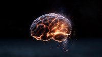 Glowing orange brain visualization with luminous neural connections and particle effects floating in dark space, representing artificial intelligence and cognitive science.