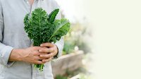 Young adult male farmer holding fresh kale bunch in hands outdoors. Organic vegetable harvest, sustainable agriculture, and healthy food production concept for farming and gardening projects.
