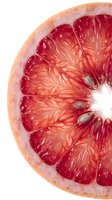 Fresh grapefruit half slice isolated on white background, showing vibrant red flesh and natural segments. Use for food, nutrition, healthy eating, and beverage design projects.