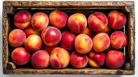 Fresh ripe nectarines in rustic wooden box, top view. Red and yellow summer fruits arranged in vintage crate, natural organic produce for farmers market.