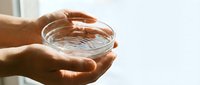 Two hands holding a clear glass bowl filled with water against a bright white background, suitable for wellness, hydration, and health-related content.