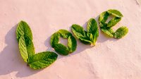 Fresh green mint leaves arranged to spell love word on pink textured background. Natural herbal typography concept for romantic wellness and organic lifestyle.