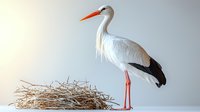 White stork standing near nest against light background, elegant bird with long red legs and beak, black wing tips, displaying natural nesting behavior.