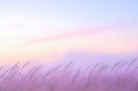 Delicate grass silhouettes against pastel purple and pink sunset sky create dreamy natural minimalist landscape, suitable for peaceful wall art and meditation spaces.