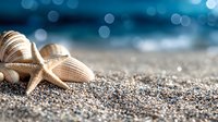 Starfish and seashells on sandy beach with sparkling bokeh background and soft morning light creating serene coastal atmosphere.