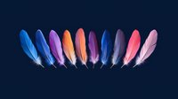 Colorful bird feathers arranged in row on dark background, featuring vibrant blue, purple, orange and pink plumes with detailed texture and soft edges.
