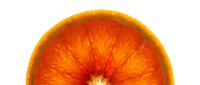Vibrant orange citrus fruit slice with bright yellow rind and translucent segments, isolated on white background for food and beverage design projects.