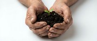 Weathered hands of an elderly man cupping dark fertile soil with a tiny green seedling, symbolizing growth, care, and sustainability.
