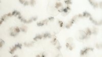 Scattered organic dust particles and ash fragments floating on neutral beige background, suitable for texture overlays, digital effects, and atmospheric design elements.
