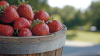 Fresh ripe strawberries in rustic wooden basket against blurred natural background, selective focus on juicy red berries with green stems.
