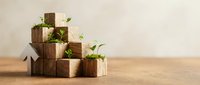 Wooden blocks arranged in pyramid with green plants growing from top, symbolizing sustainable growth and eco-friendly development on natural background.