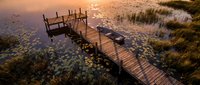 Wooden dock extending over a calm lake at golden sunset, surrounded by lily pads and tall grass, reflecting warm orange light on still water.
