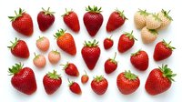 Fresh red and white strawberries with green leafy tops arranged on white background, isolated for food packaging, recipe blogs, and culinary design projects.