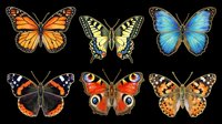 Isolated set of six colorful butterflies on transparent background, ready for t-shirt design, clipart, stickers, sublimation and print-on-demand projects.