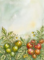 Watercolor garden illustration featuring ripe tomato plants with green and red fruit, yellow flowers, and detailed foliage on soft neutral background. Suitable for culinary, gardening, and botanical design projects.
