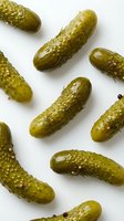 Whole fresh pickles with bumpy textured skin arranged on white background, isolated and ready for food, grocery, culinary, and recipe design projects.