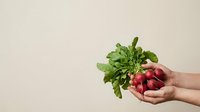 Fresh organic radishes with green leafy tops held in open hands against neutral background, suitable for healthy eating, farm produce, and nutrition marketing materials.