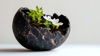 Delicate white flower growing in cracked black stone planter with fresh soil and green leaves against neutral background, representing growth and resilience in nature.