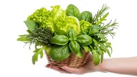 Fresh herbs basket with basil, rosemary, lettuce and greens held by hand on white background, isolated for culinary design and cooking concepts.