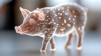 Digital pig silhouette with glowing network pattern representing agricultural technology, farming innovation, and livestock monitoring systems.