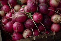 Fresh purple radishes with green tops in rustic wooden crate, organic root vegetables for healthy cooking and farm-to-table cuisine preparation.