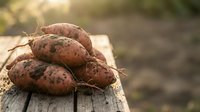 Fresh organic sweet potatoes with soil on rustic wooden surface in warm sunlight for healthy cooking and farm-to-table cuisine preparation.
