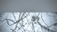 Microscopic view of neural network connections showing intricate branching patterns and synaptic structures in grayscale for scientific research.