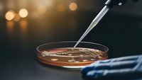 Laboratory technician using tweezers to handle specimen in petri dish during scientific research experiment with warm ambient lighting.