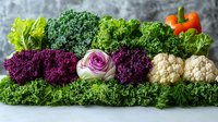 Fresh organic vegetables arranged in row including purple kale, green lettuce, cauliflower, red bell pepper, and ornamental cabbage on gray background. Perfect for healthy eating.