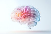 Translucent human brain model with colorful gradient from pink to blue floating on light background, showing detailed neural anatomy and medical structure.