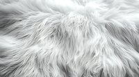 Luxurious white fluffy fur texture background with soft long hair fibers creating natural waves and patterns. Close up macro photography of faux fur surface.