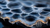 Macro photography of dark liquid surface with golden edges showing surface tension and wave patterns creating abstract artistic composition with bokeh effect.