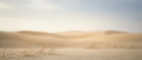 Misty morning landscape with golden sunlight filtering through fog over rolling hills and sparse vegetation in soft focus.