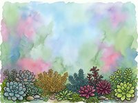 Watercolor succulent garden border with soft pastel background, hand drawn botanical illustration for spring designs and natural decor projects.