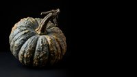 Aged pumpkin with weathered, textured skin isolated on dark background, suitable for autumn, harvest, and seasonal design projects.