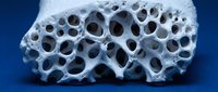 White porous volcanic pumice stone with natural holes and cavities isolated on blue background for geology education and natural texture design.