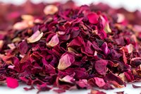 Dried burgundy rose petals scattered in pile, macro photography with selective focus showing natural organic texture and deep crimson color tones.